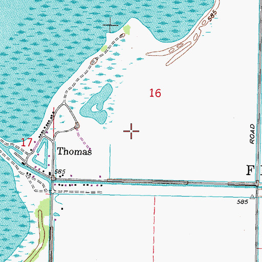 Topographic Map of Thomas Marina, MI