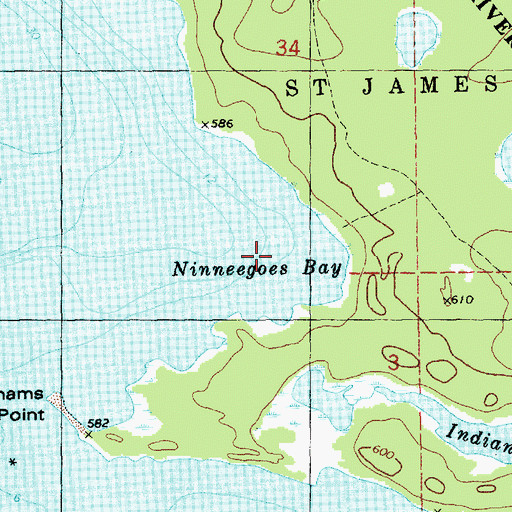 Topographic Map of Ninneegoes Bay, MI