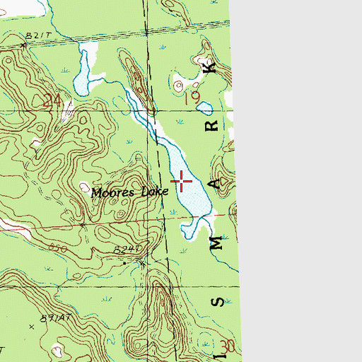 Topographic Map of Moores Lake, MI