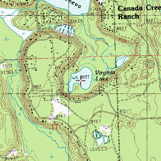 Topographic Map of Virginia Lake, MI