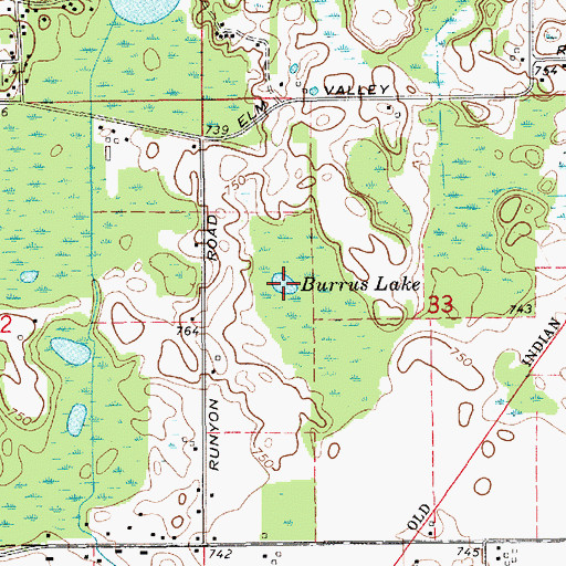 Topographic Map of Burrus Lake, MI