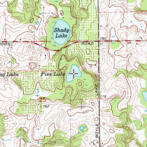 Topographic Map of Pine Lake, MI