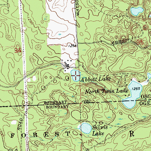 Topographic Map of Abbott Lake, MI
