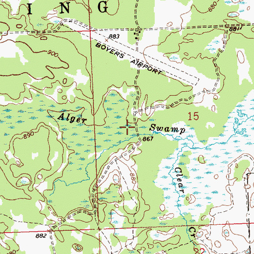Topographic Map of Alger Swamp, MI
