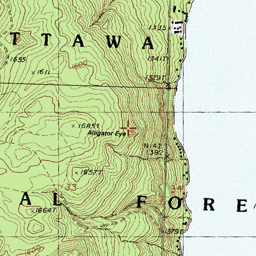 Topographic Map of Alligator Eye, MI