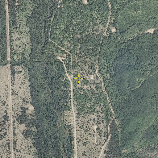 Aerial/Satellite Image of Au Sable State Forest, MI
