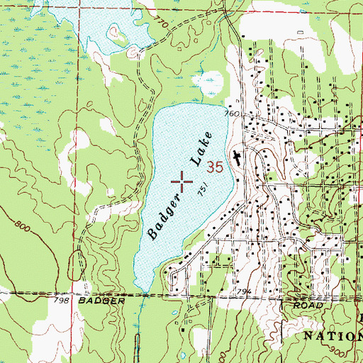 Topographic Map of Badger Lake, MI