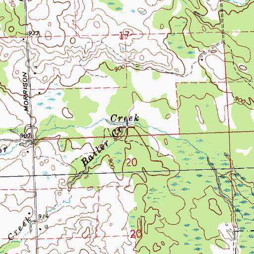 Topographic Map of Bailer Creek, MI