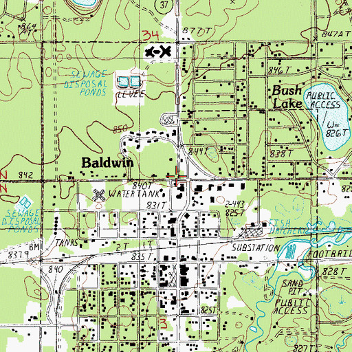 Topographic Map of Baldwin, MI