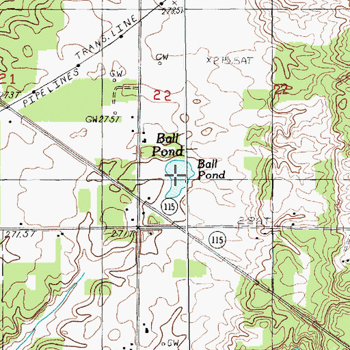 Topographic Map of Ball Pond, MI