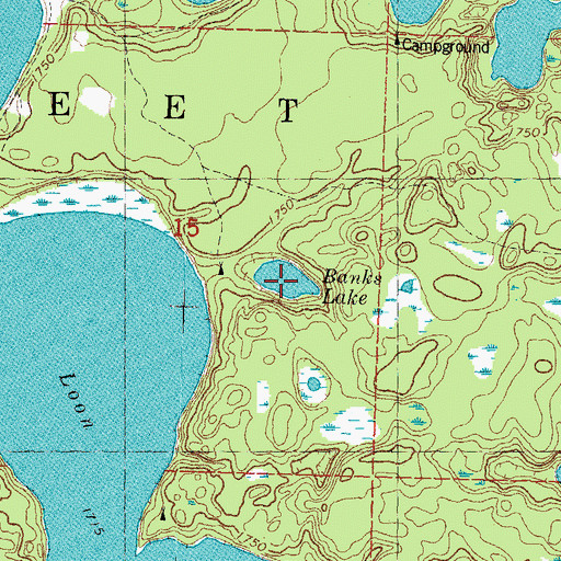 Topographic Map of Banks Lake, MI