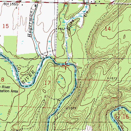 Topographic Map of Bass Creek, MI