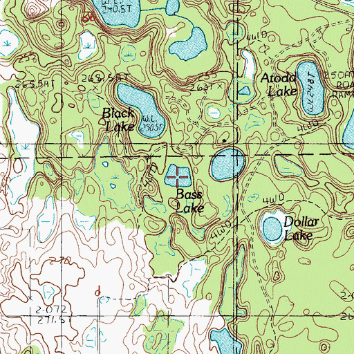 Topographic Map of Bass Lake, MI