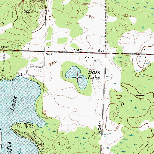Topographic Map of Bass Lake, MI