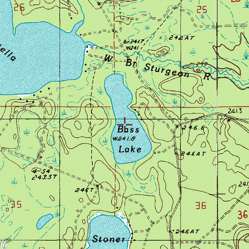 Topographic Map of Bass Lake, MI