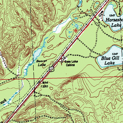 Topographic Map of Bass Lake Cabins, MI