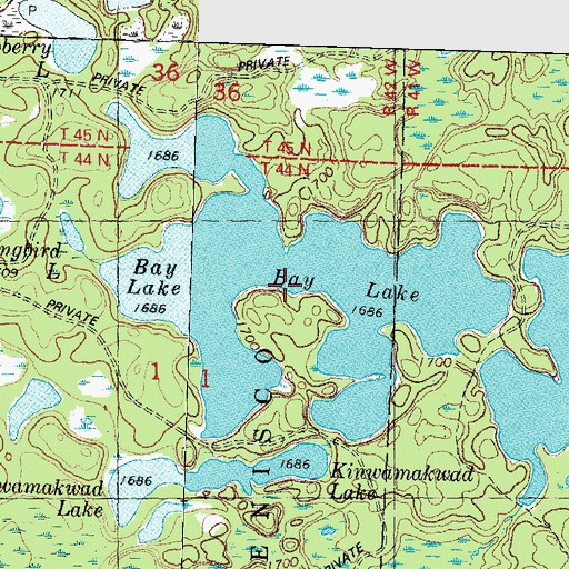 Topographic Map of Bay Lake, MI