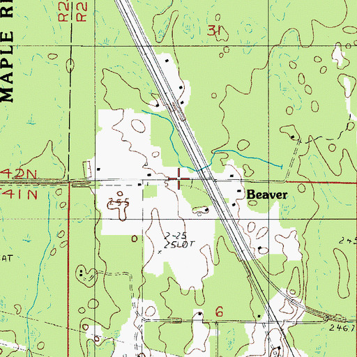 Topographic Map of Beaver, MI