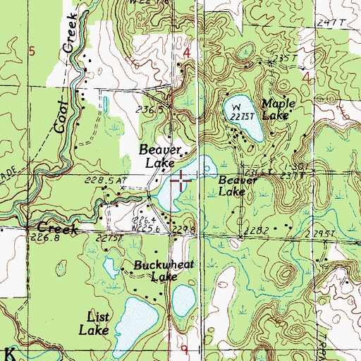 Topographic Map of Beaver Lake, MI
