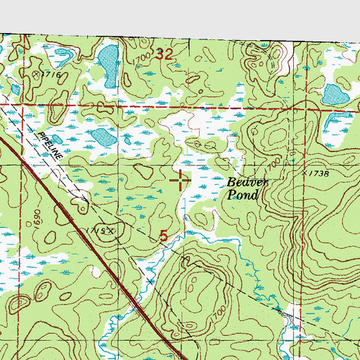 Topographic Map of Beaver Pond, MI