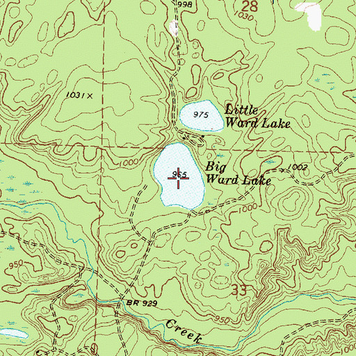 Topographic Map of Big Ward Lake, MI