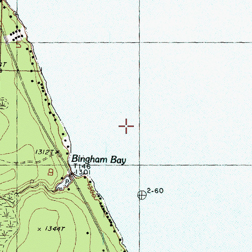 Topographic Map of Bingham Bay, MI