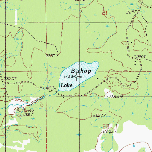 Topographic Map of Bishop Lake, MI