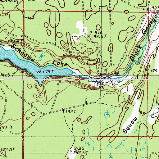 Topographic Map of Black George Creek, MI
