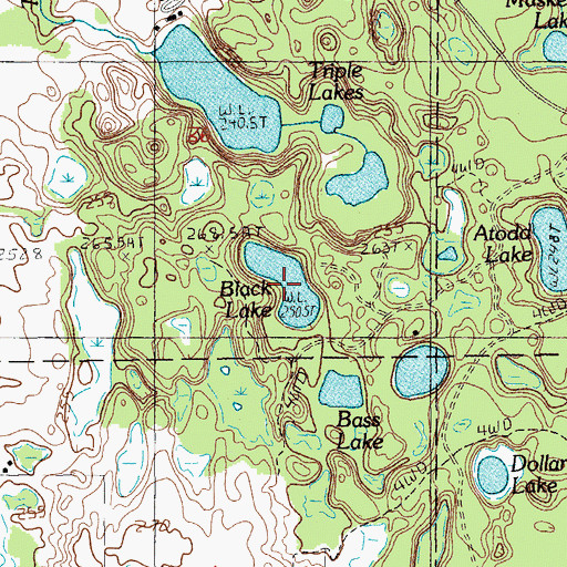 Topographic Map of Black Lake, MI