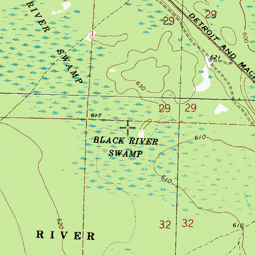 Topographic Map of Black River Swamp, MI
