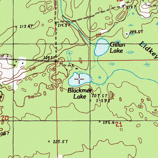 Topographic Map of Blackmer Lake, MI
