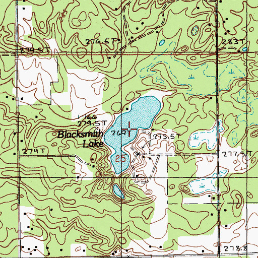 Topographic Map of Blacksmith Lake, MI