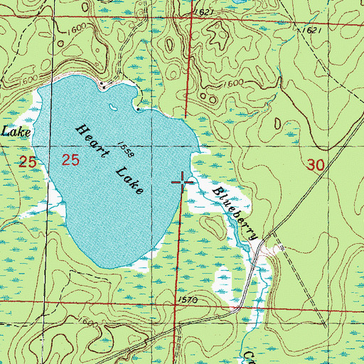 Topographic Map of Blueberry Creek, MI
