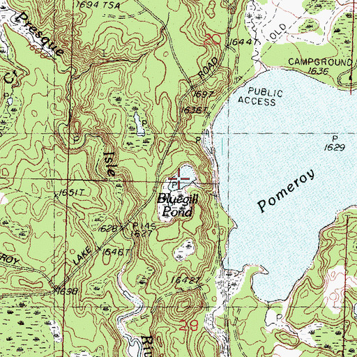 Topographic Map of Bluegill Pond, MI