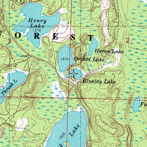 Topographic Map of Bluejay Lake, MI