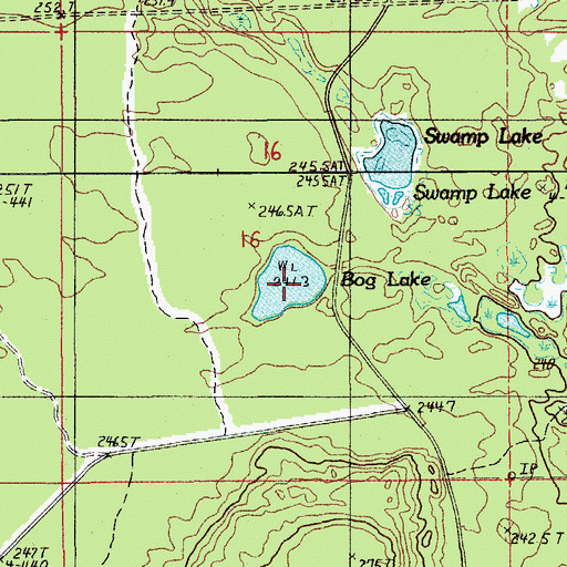 Topographic Map of Bog Lake, MI