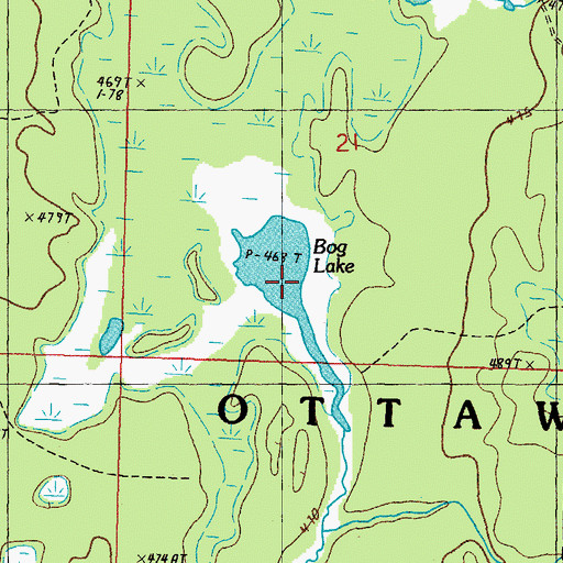 Topographic Map of Bog Lake, MI