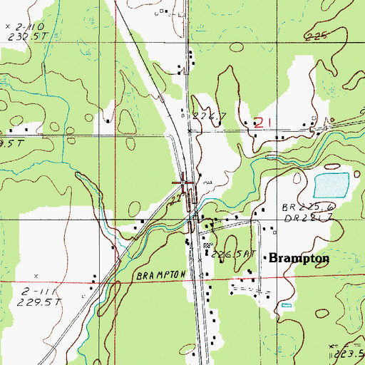 Topographic Map of Brampton, MI