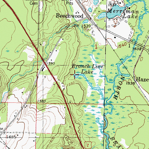 Topographic Map of Branch Line Lake, MI