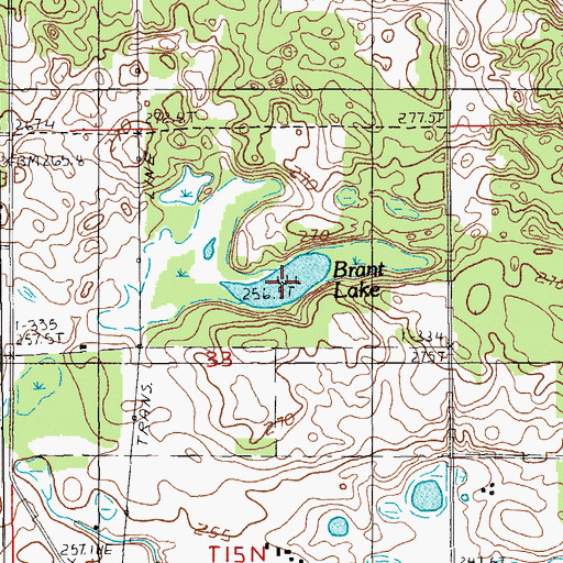 Topographic Map of Brant Lake, MI