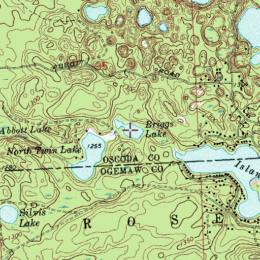 Topographic Map of Briggs Lake, MI