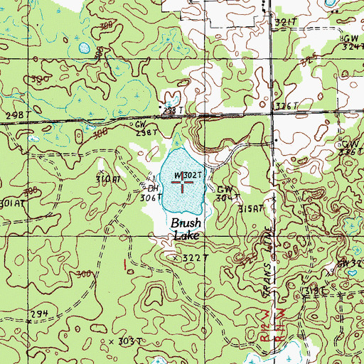 Topographic Map of Brush Lake, MI