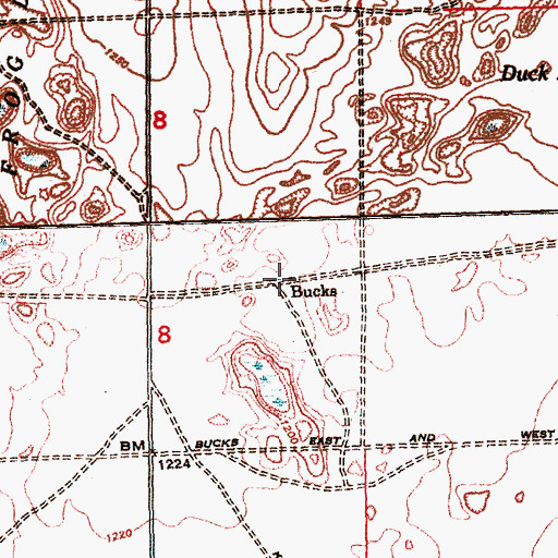 Topographic Map of Bucks, MI