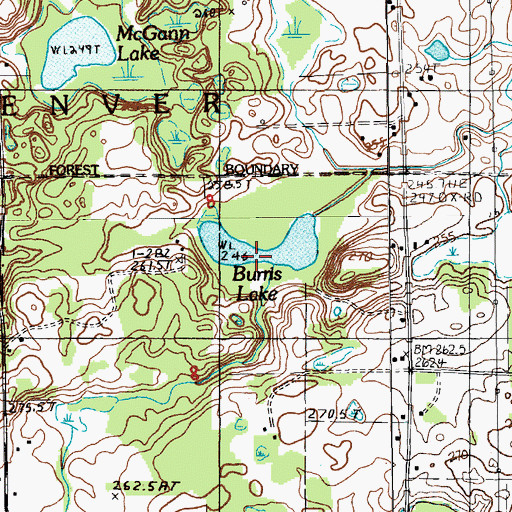 Topographic Map of Burris Lake, MI