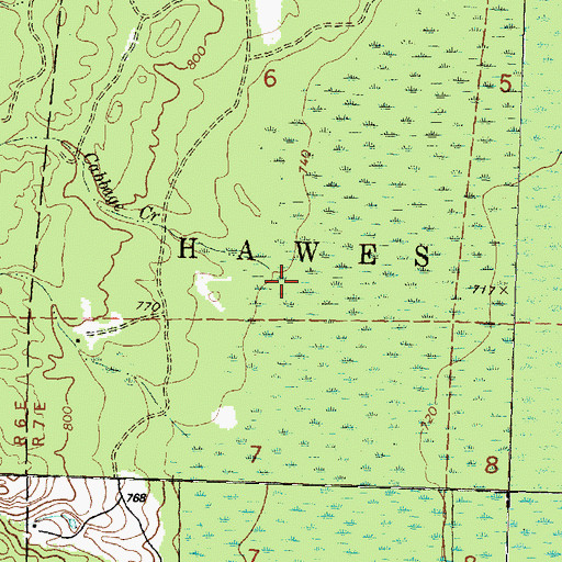 Topographic Map of Cabbage Creek, MI