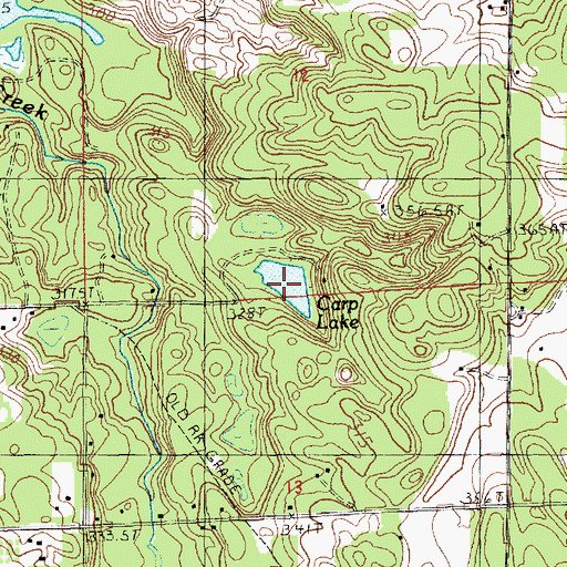 Topographic Map of Carp Lake, MI