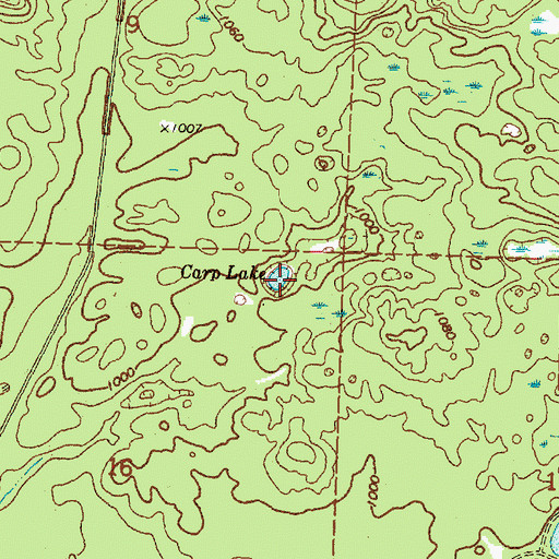 Topographic Map of Carp Lake, MI