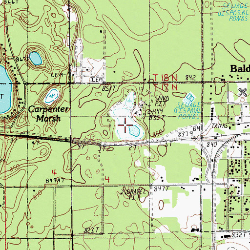 Topographic Map of Carpenter Marsh, MI