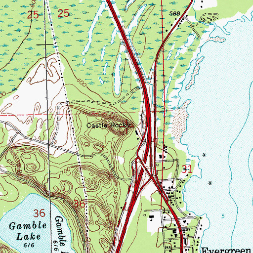 Topographic Map of Castle Rock, MI