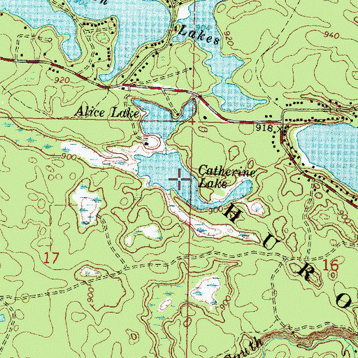 Topographic Map of Catherine Lake, MI